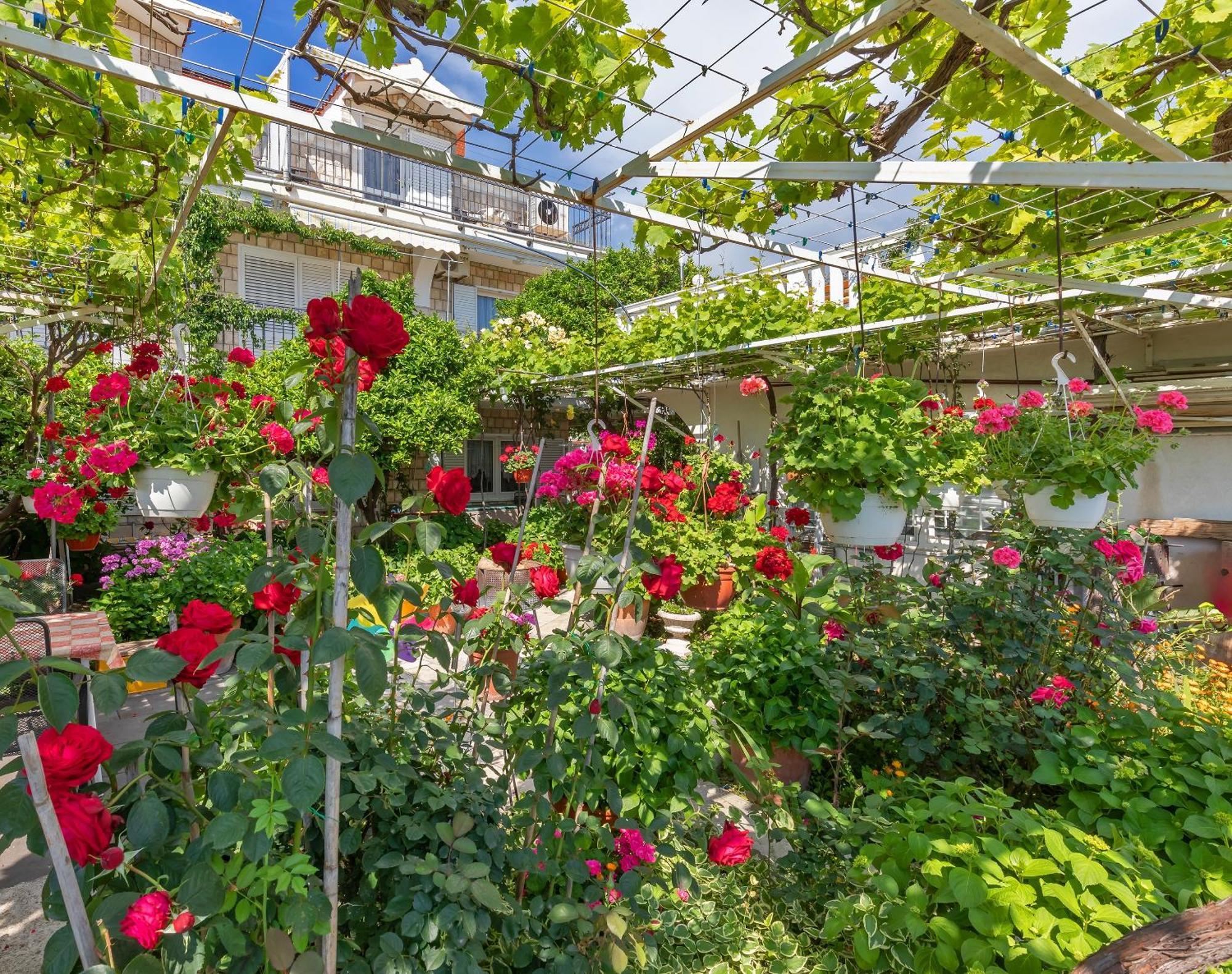 Apartmani Galic 2 Mlini Exteriör bild