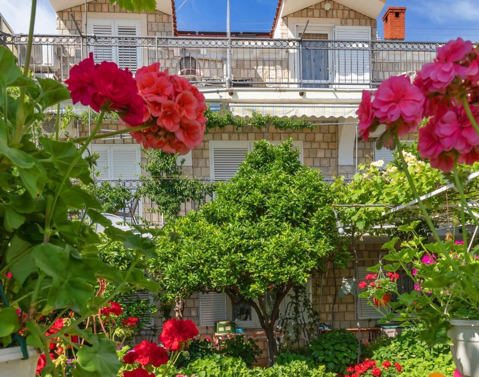 Apartmani Galic 2 Mlini Exteriör bild